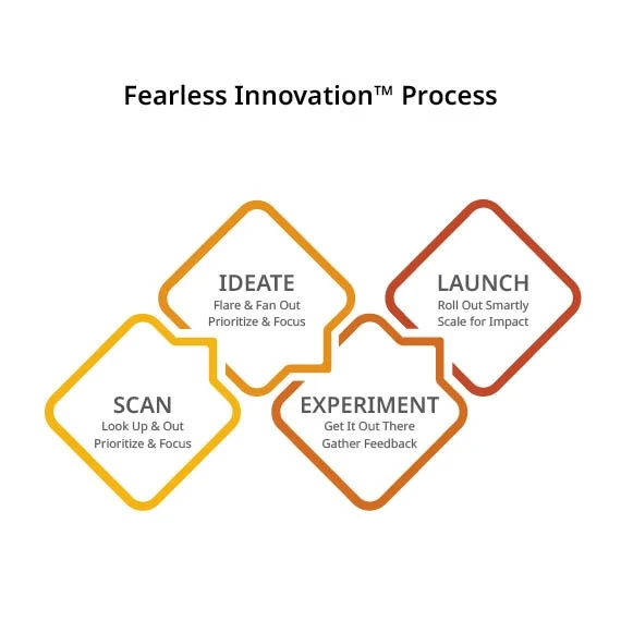 Blanchard Fearless Innovatin model Blanchard Fearless Innovatin model